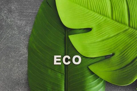 Respect for the environemnt, Eco-friendly text on top of tropical banana and  Foto stock