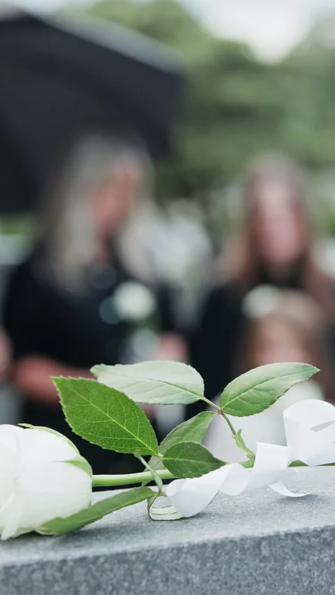 Respect, hands and white rose on gravestone at funeral for loss, mourning death Stock Footage 331496431