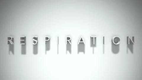 Respiration 3D title animation with shadows on a white background Stock Footage 296505084