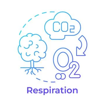 Respiration blue gradient concept icon 스톡 일러스트