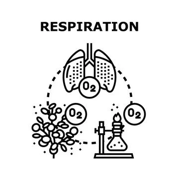 Respiration process concept illustrating human lungs, plant oxygen exchange,  Stock Illustration