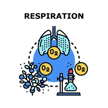 Respiration process concept vector illustrating biological and chemical bre.. Stock Illustration
