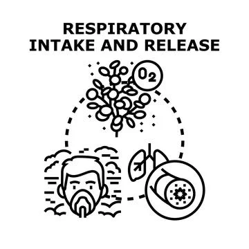 Respiratory intake and release process concept Illustrazione stock