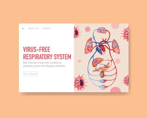 Respiratory system design for website template with Human Anatomy of Lung Illustrazione stock