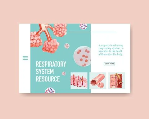 Respiratory system design for website template with Human Anatomy of Lung Stock Illustration