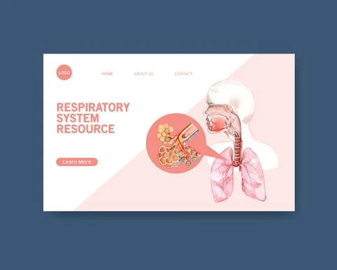Respiratory system design for website template with Human Anatomy of Lung Stock Illustration