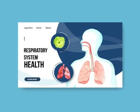 Respiratory system design for website template with Human Anatomy of Lung Stock Illustration