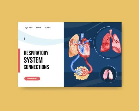 Respiratory system design for website template with Human Anatomy of Lung Stock Illustration