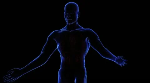 Respiratory system Stock-Footage 21894153