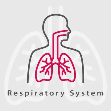 Respiratory System icon. Flat vector Respiratory System icon. Stock Illustration