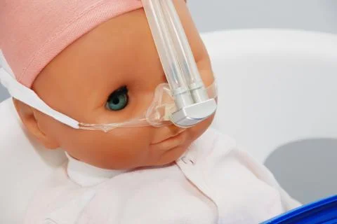 Respiratory system Foto stock