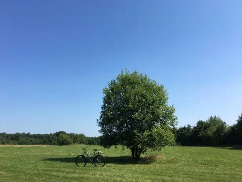 Respite near a tree Foto stock