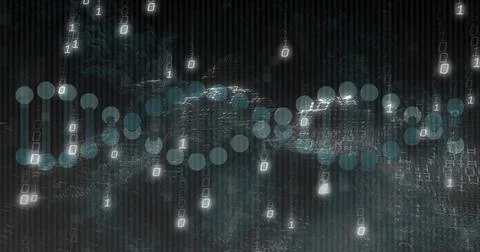 Responding to binary stream, teal node waveform undulating across virtual mesh, Stock Photos