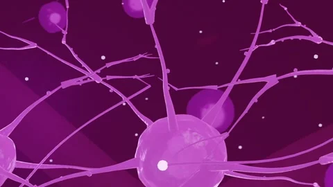Responding to bright node approaching, soma pulsing and branches swaying in Stock Footage 337964533