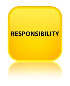 Responsibility special yellow square button Stock Illustration