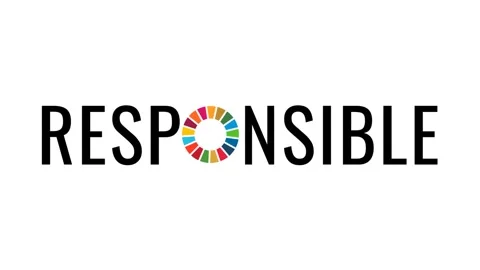 RESPONSIBLE animated text to support the SDGs action Stock Footage 167699126