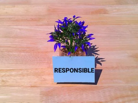 Responsible concept  Stock Photos
