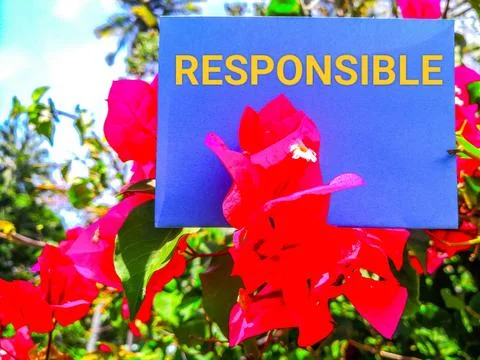 Responsible concept  Stock-Fotos