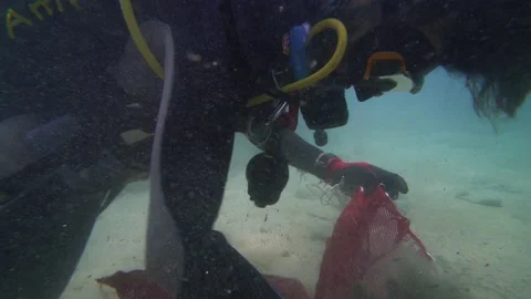 Responsible Scuba Diver Cleans Under the Sea Stock Footage 143593513