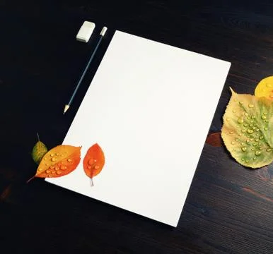 Responsive design mockup Stock Photos