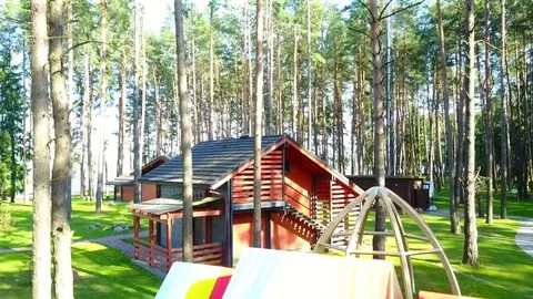 Rest area in the forest Stock Footage 118530280