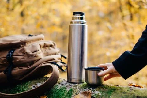 Rest in autumn forest. Stock Photos