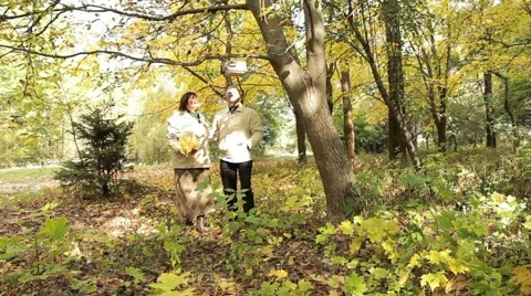 Rest In Autumn Park Video stock 52560182
