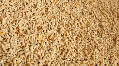 The rest of the corn cob. Stock Footage 48482023
