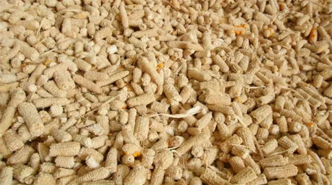 The rest of the corn cob. Video stock 48494433