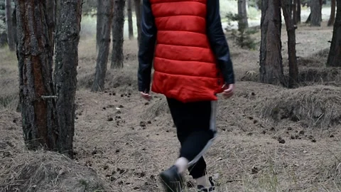 Rest in the forest. Stock Footage 168467326