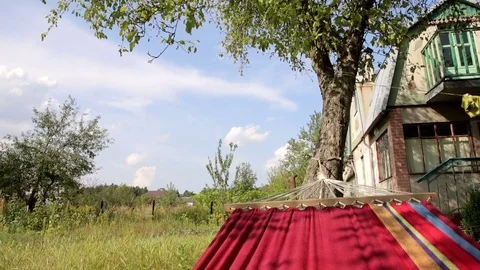 Rest on a hammock, rocking, view of the sky Stock Footage 80992005