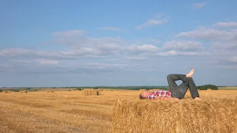 Rest on the haystack Stock Footage 71501071