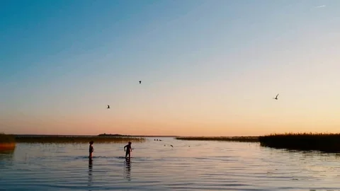 Rest on the lake and flying gulls in sunset sky Stock Footage 73492052