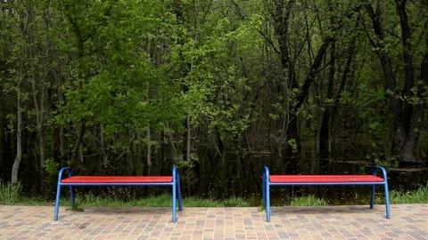 Rest in the park in spring. Calm quiet sunny weather in the park in spring. Stock Footage 201156029
