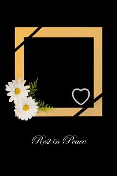 Rest in Peace Daisy Flower Background Border Card Stock Photos