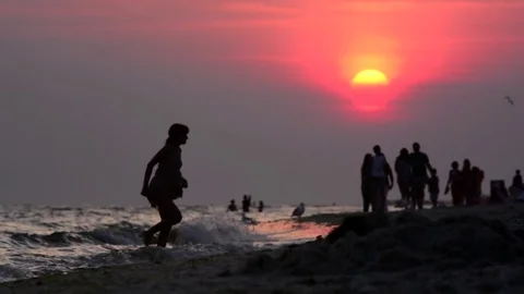 Rest on the sea coast Video stock 76052826