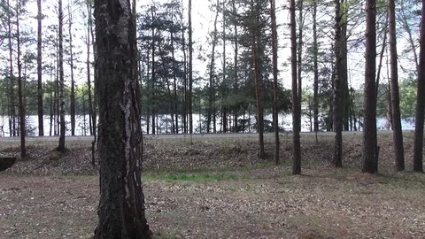 Rest on the spring Streshno Lake 動画素材 104819207