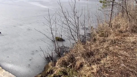 Rest on the spring Streshno Lake Stock-Footage 104819232