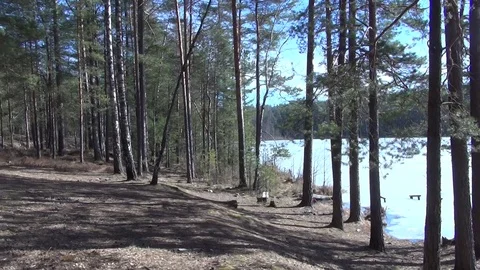 Rest on the spring Streshno Lake Stock Footage 104819355