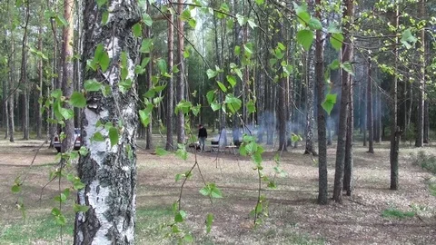 Rest on the spring Streshno Lake Stock Footage 104819489