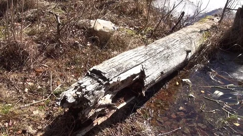 Rest on the spring Streshno Lake Vidéo 104819528