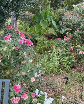 Rest Stop Foliage Stock Photos