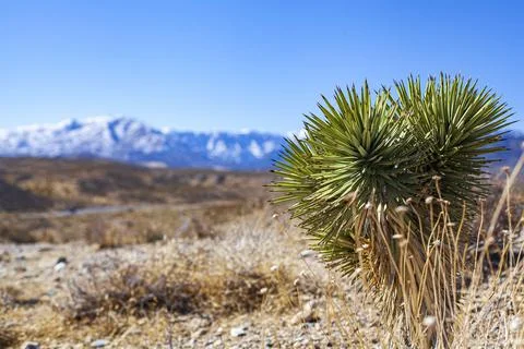 Rest Stop. Stock Photos