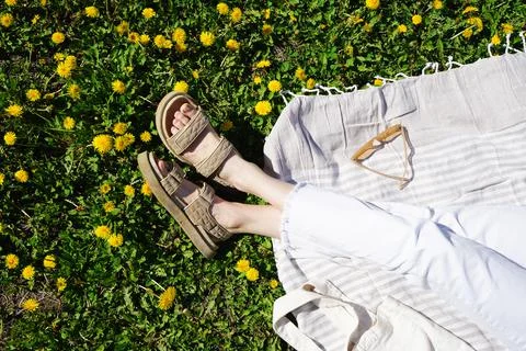 Rest in the summer park, flat lay. Blossoming apple orchard in spring. Foto stock