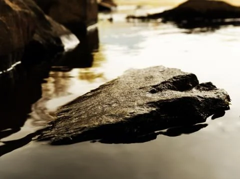 Rest while sunset in spring at water with photography Stock Photos