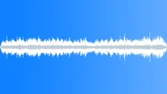 Restaurant atmosphere busySound Effect