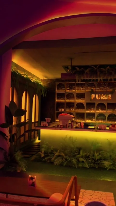 Restaurant Bar Stock Footage 204973562