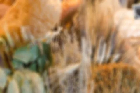 Restaurant blur background Stock Photos