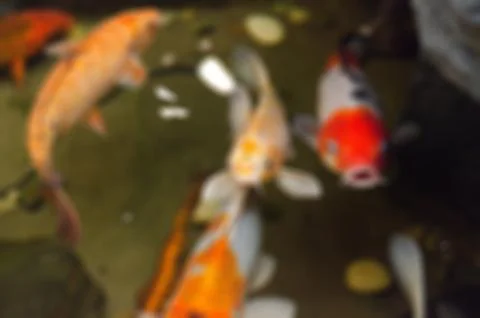 Restaurant blur background Stock Photos