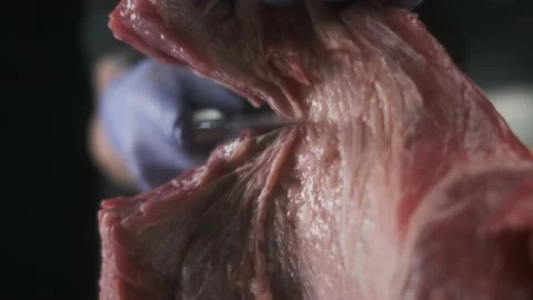 Restaurant chef cut raw meat; hands cutting, slicing delicate beef 4K Stock Footage 170832346